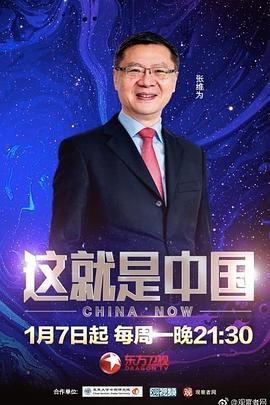 洛宁seo优化怎么选